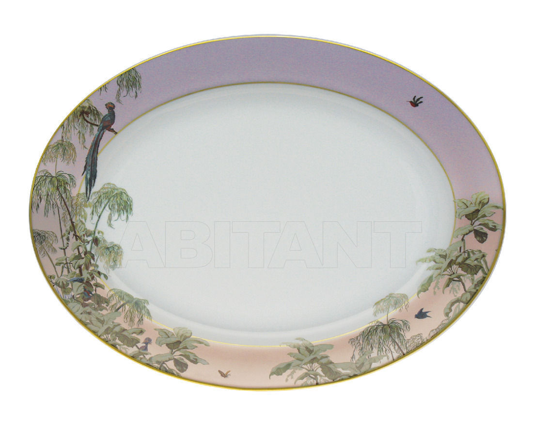 Buy Dish Haviland Le Brésil T1 1855 0042 813F