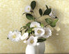 Paper wallpaper KT Exclusive Simplicity sy40213 Contemporary / Modern