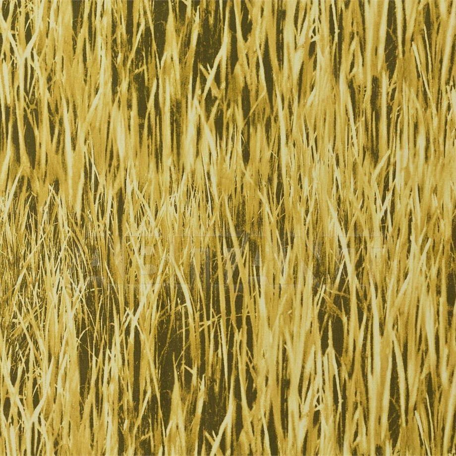 Buy Portiere fabric ERBA Brochier Incontro AK1047 001