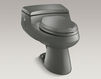Floor mounted toilet San Raphael K-3597-95 Gray Floor mounted toilet San Raphael Kohler 2015 K-3597-95 Contemporary / Modern