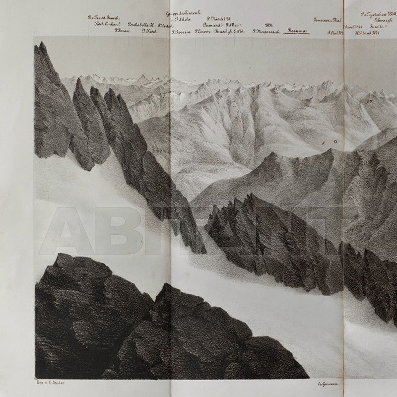 Buy Vinyl wallpaper IN VETTA Wall&Decò  CONTEMPORARY WALLPAPER WDIV1501