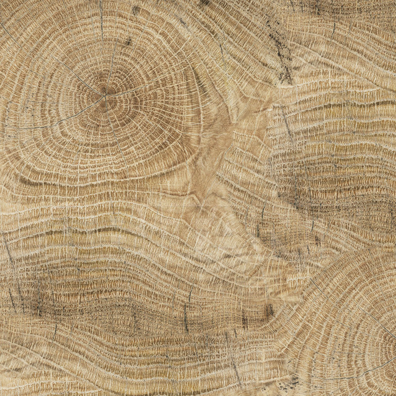 Vinyl wallpaper LIFE LINES OUTW_LL1301_1 price on request Buy Vinyl wallpaper LIFE LINES Wall&Decò WET SYSTEM OUTW_LL1301_1