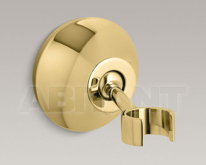 Buy Holder for shower head Forté Kohler 2015 K-352-PB