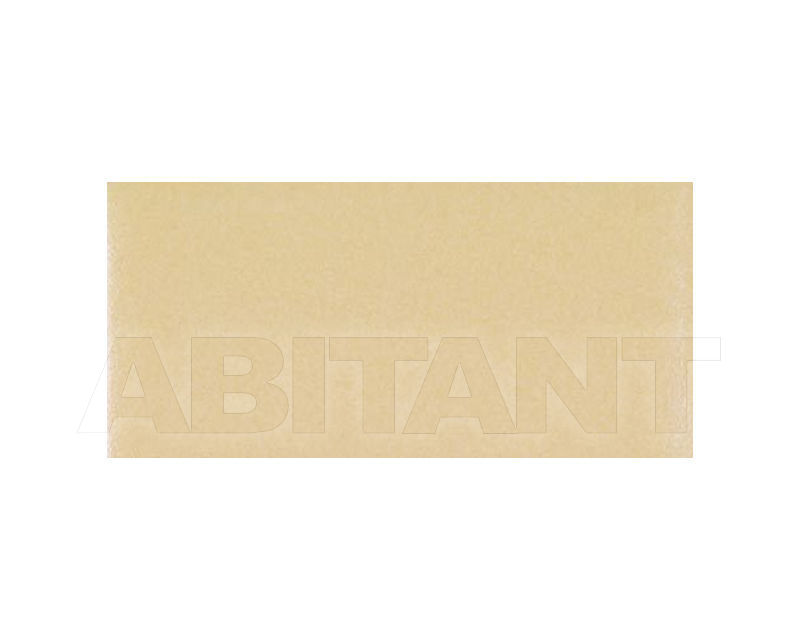 Buy Tile RAL MATT Vitra Arkitekt-Color K891276