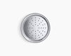 Wall mounted shower head Devonshire K-45413-CP Silver Wall mounted shower head Devonshire Kohler 2015 K-45413-CP Contemporary / Modern