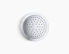 Wall mounted shower head Forté K-10282-AK-CP Silver Wall mounted shower head Forté Kohler 2015 K-10282-AK-CP Contemporary / Modern