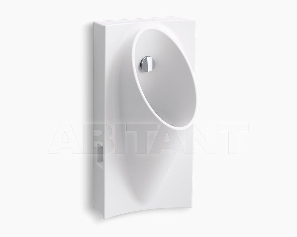 Buy Urinal Steward Kohler 2015 K-5244-ER-0
