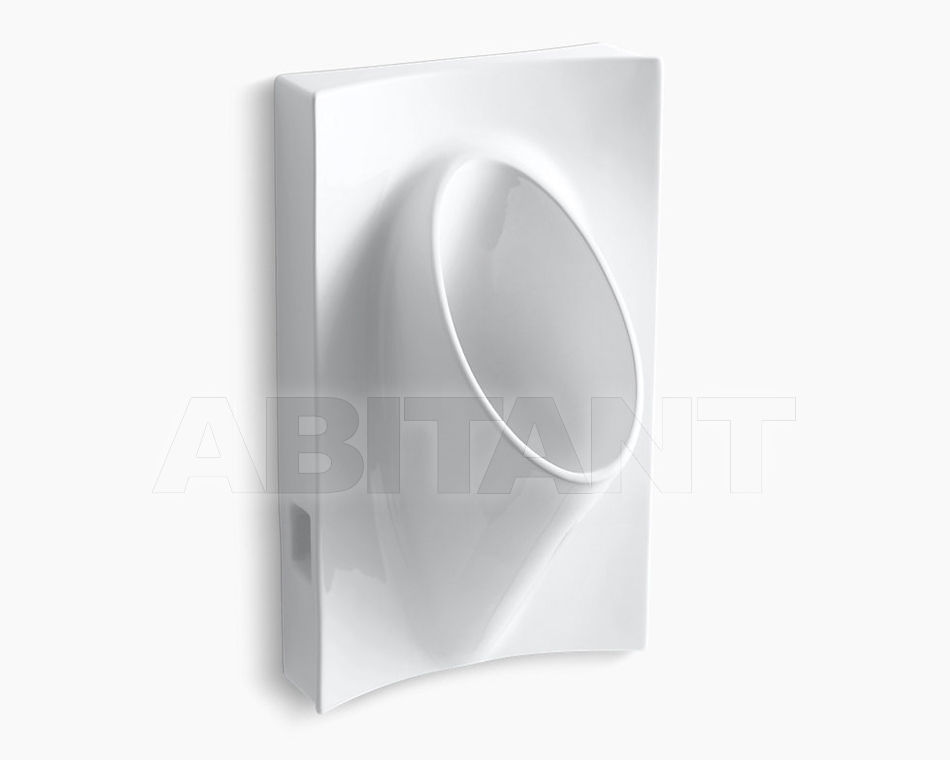 Buy Urinal Steward Kohler 2015 K-4919-0