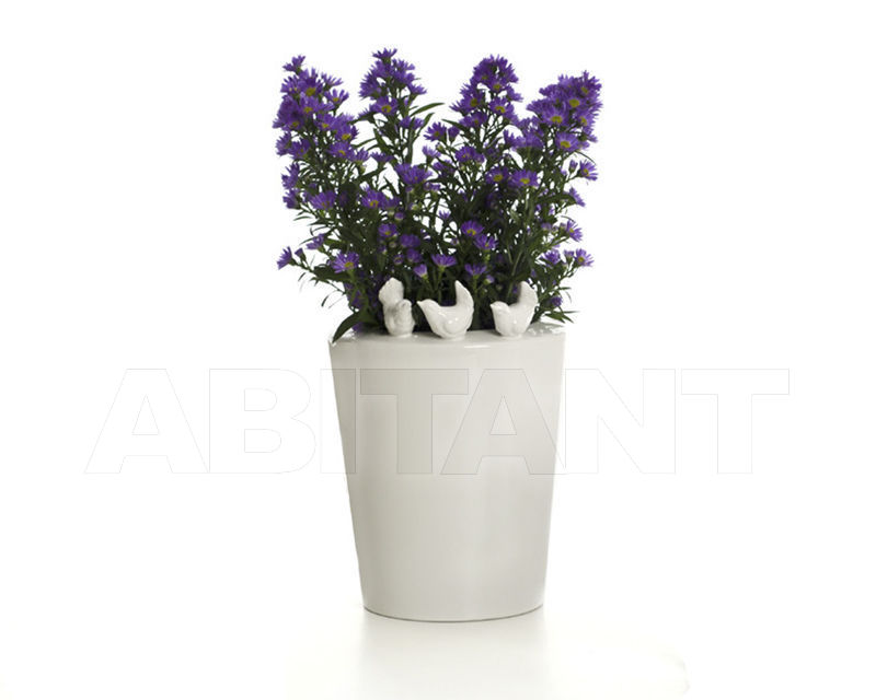 Buy Vase REBIRTH by Ceramiche ML UNCONVASE V17