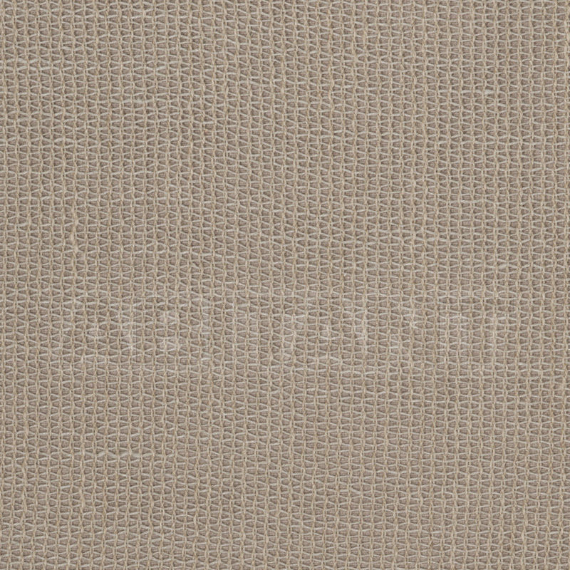 Buy Interior fabric Vervain Barry Dixon Collection 2014 Barry Dixon Fall 2014 GAWAIN SHEER