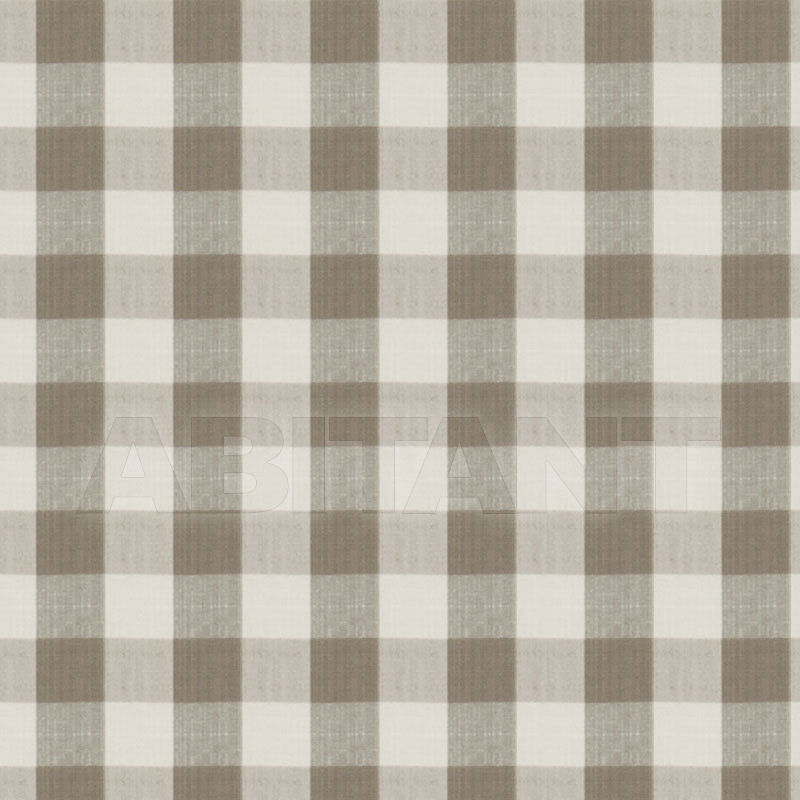 Buy Interior fabric Stroheim CHARLES FAUDREE COLLECTION BIRON STRIE CHECK Greystone