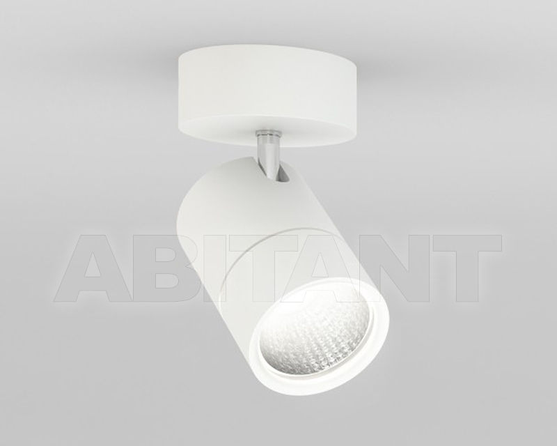 Spot light DASH AC 599-31401595 price on request Buy Spot light DASH AC Molto Luce G.m.b.H. 2016 599-31401595