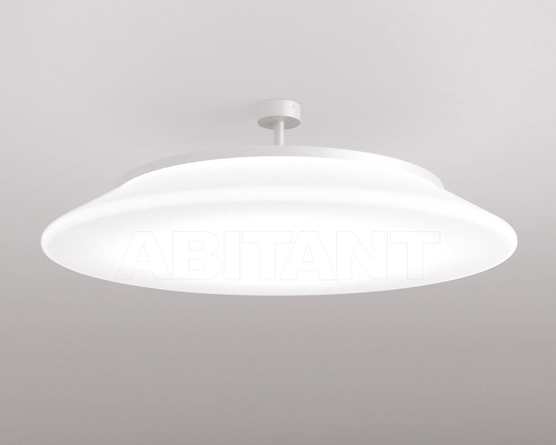 Buy Light ROTULA M Molto Luce G.m.b.H. 2016 575-7095