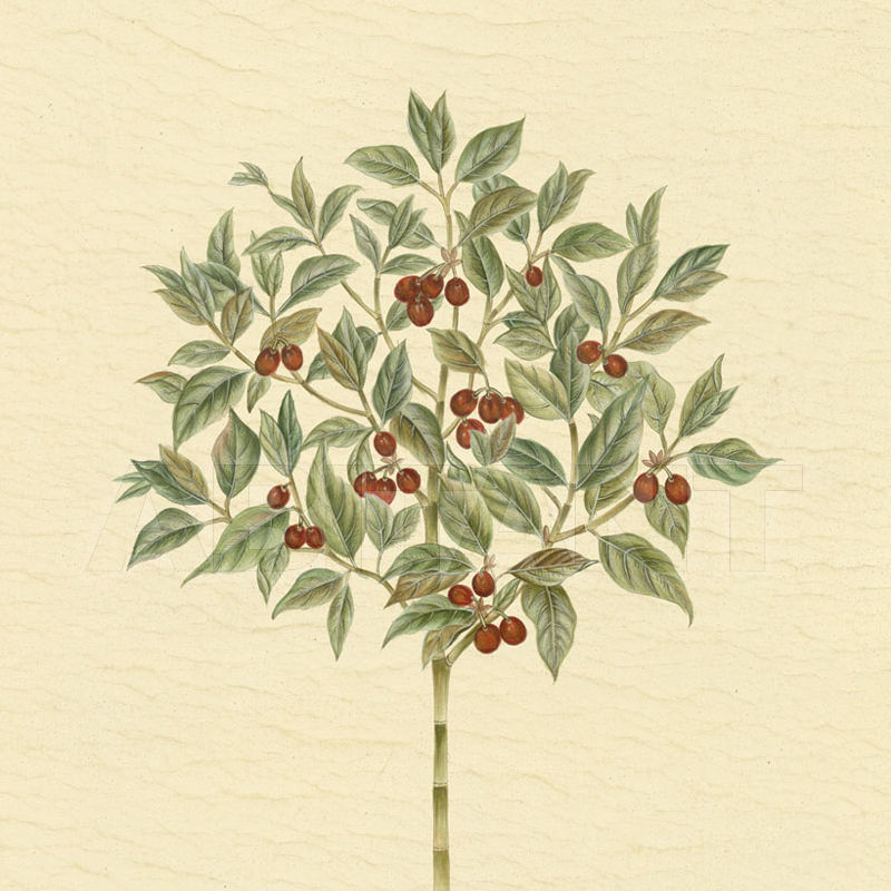 Buy Photo wallpaper Iksel   Iznik Bonsais IZB 5