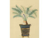 Wallpaper Iksel   Potted Palms 1 Oriental / Japanese / Chinese