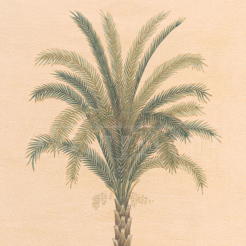 Buy Wallpaper Iksel   Potted Palms PT 09