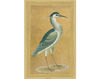 Wallpaper Iksel   Watteau Birds Walt 1 Oriental / Japanese / Chinese
