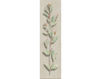 Wallpaper Iksel   Herbier Herb 2 Oriental / Japanese / Chinese