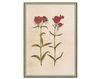 Wallpaper Iksel   Renaissance Herbier RH 9 Oriental / Japanese / Chinese