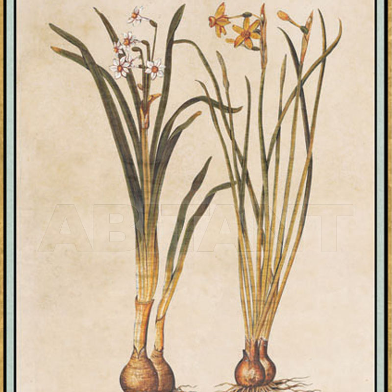 Wallpaper Renaissance Herbier RH 12 price on request Buy Wallpaper Iksel Renaissance Herbier RH 12