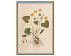 Wallpaper Iksel   Renaissance Herbier RH 21 Oriental / Japanese / Chinese