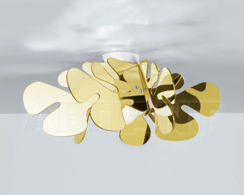 Light ARALIA CL 613 price on request Buy Light ARALIA Emporium CL 613