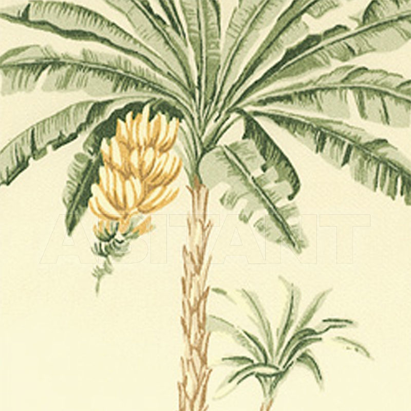 Buy Wall mirror Thibaut Inc. Thibaut Classics FC97232