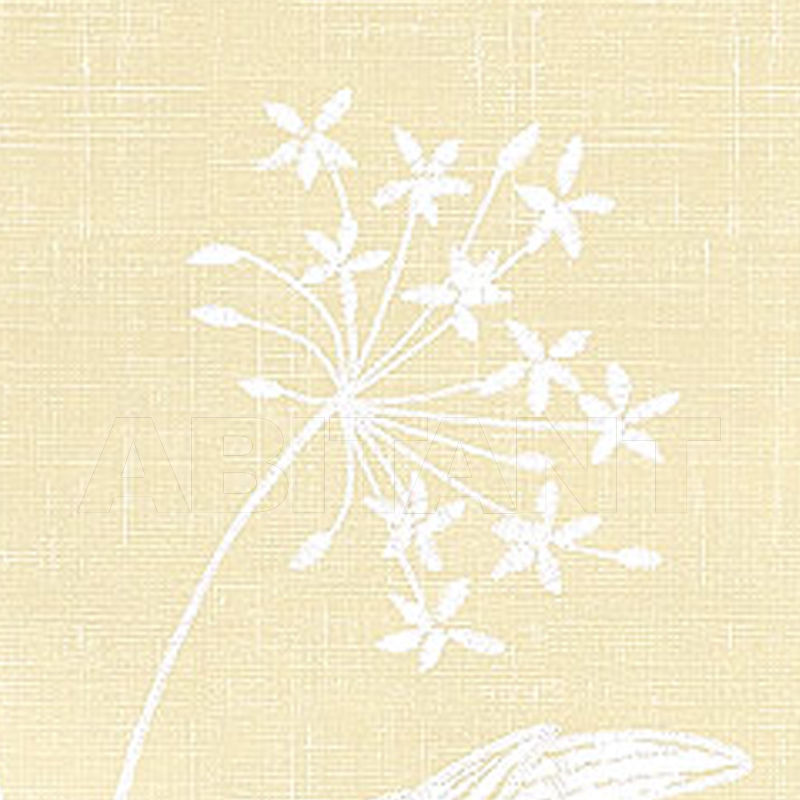 Paper wallpaper QUEEN ANNS LACE T128 price on request Buy Paper wallpaper QUEEN ANNS LACE Thibaut Inc. Serendipity T128