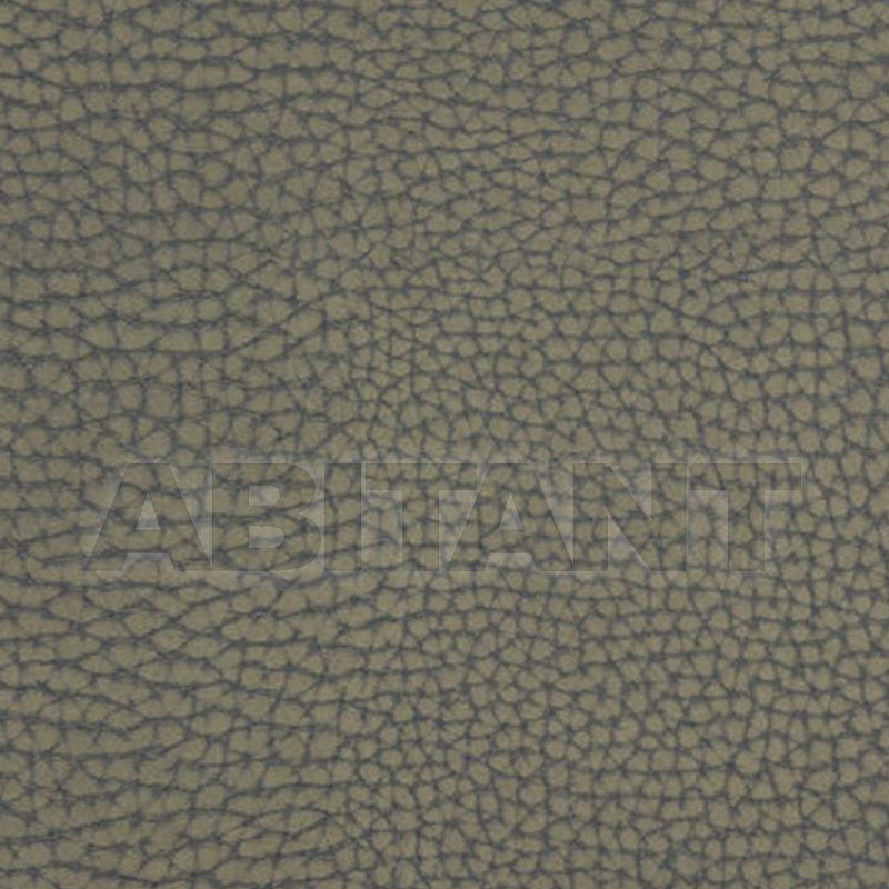Upholstery FORGETFUL 21 price on request Buy Upholstery Kravet FABRICS FORGETFUL 21