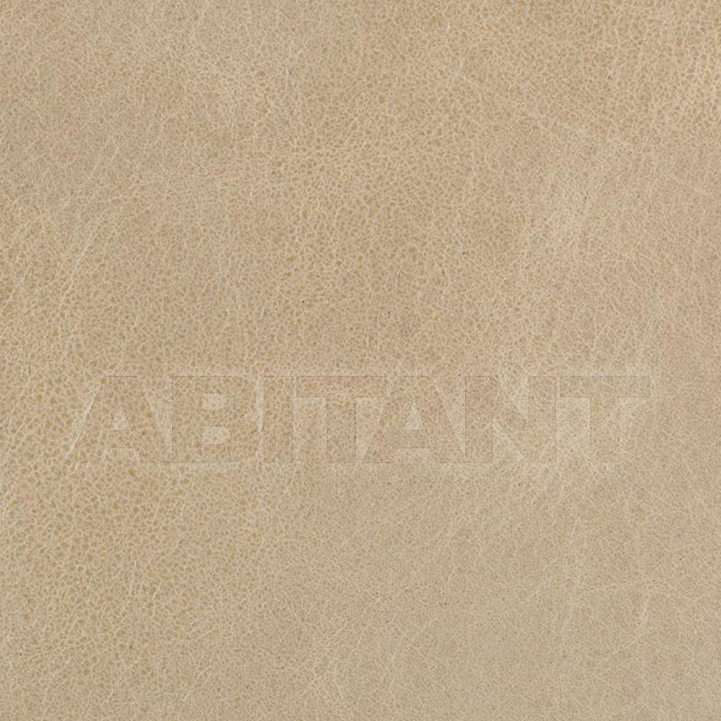 Buy Upholstery Kravet FABRICS L-DAVOS OATMEAL