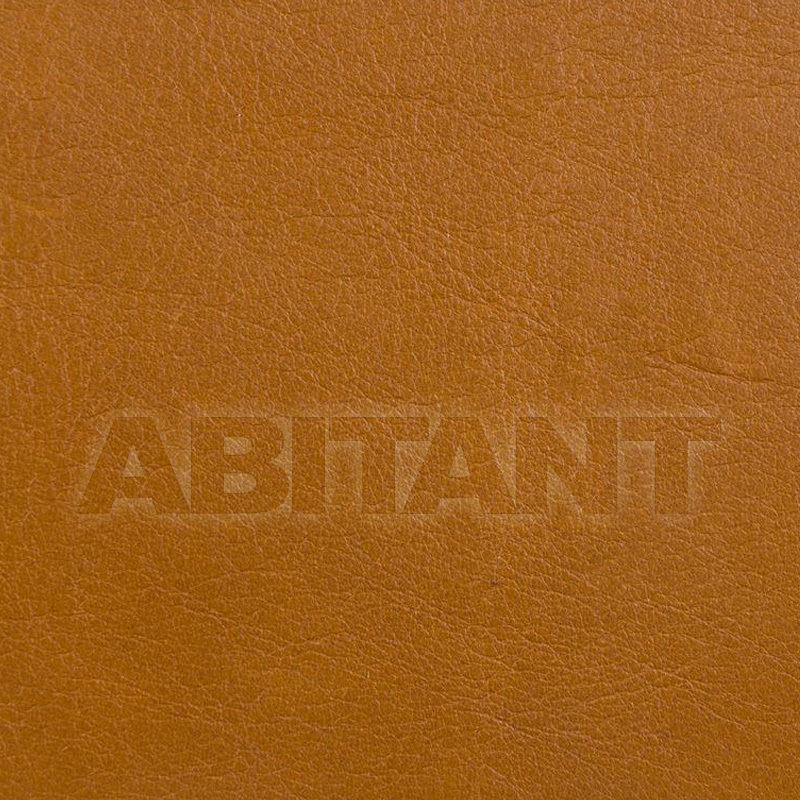 Upholstery L-PINTO TOFFEE price on request Buy Upholstery Kravet FABRICS L-PINTO TOFFEE