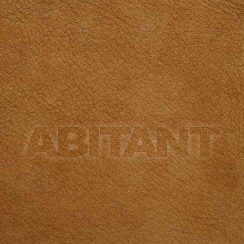 Upholstery L-SAGUARO SAND price on request Buy Upholstery Kravet FABRICS L-SAGUARO SAND