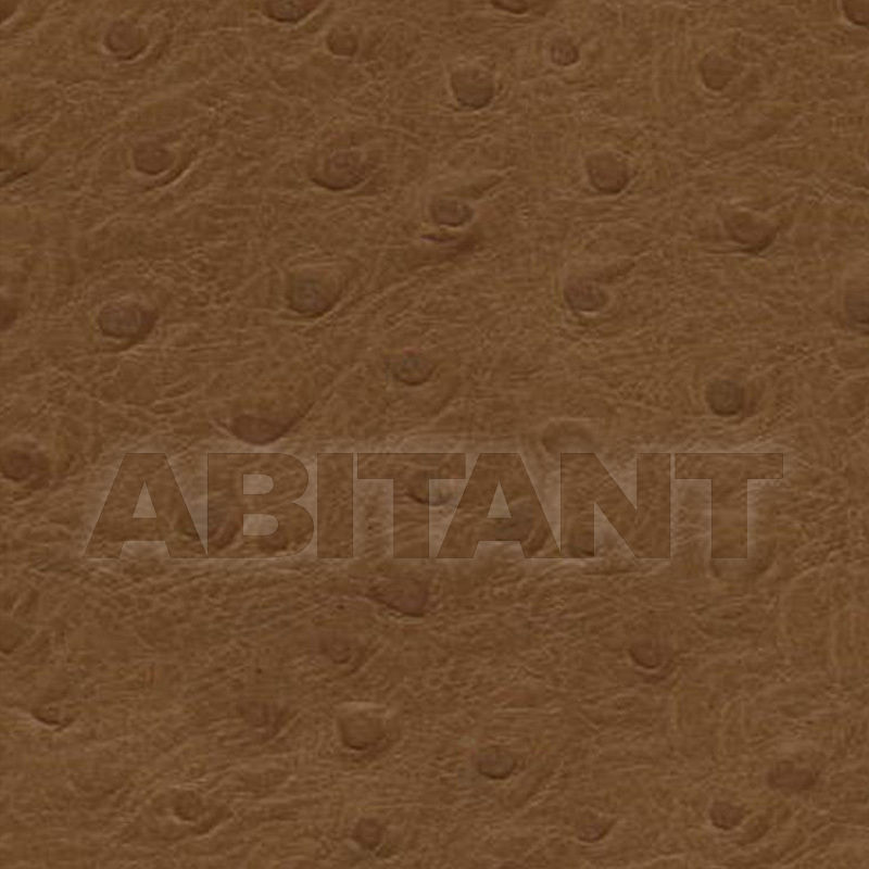 Buy Upholstery Kravet FABRICS L-TIPPED 16