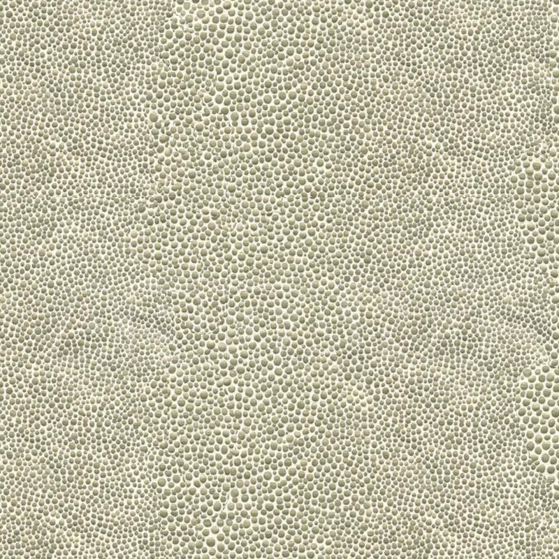 Buy Upholstery Kravet FABRICS MIRRORED 11