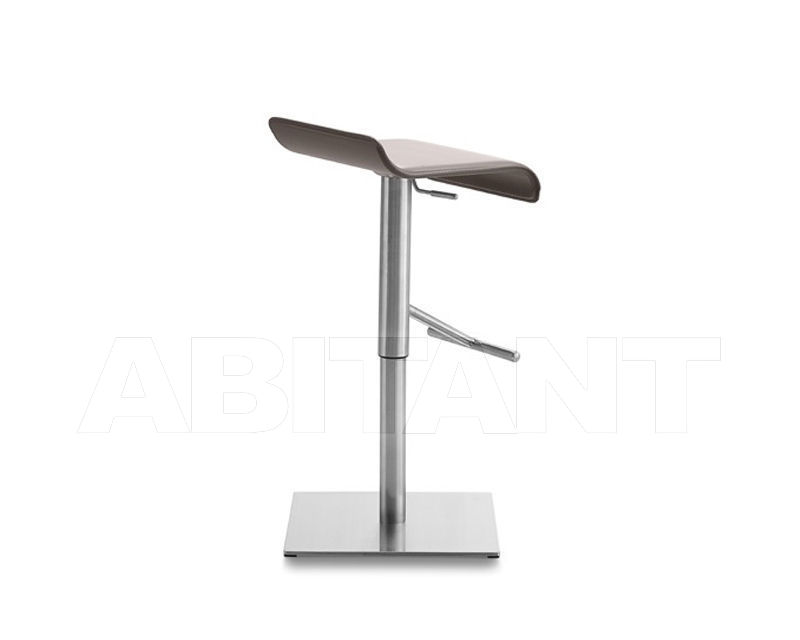 Buy Bar stool Domitalia 2016 Swing-Sgt RGR