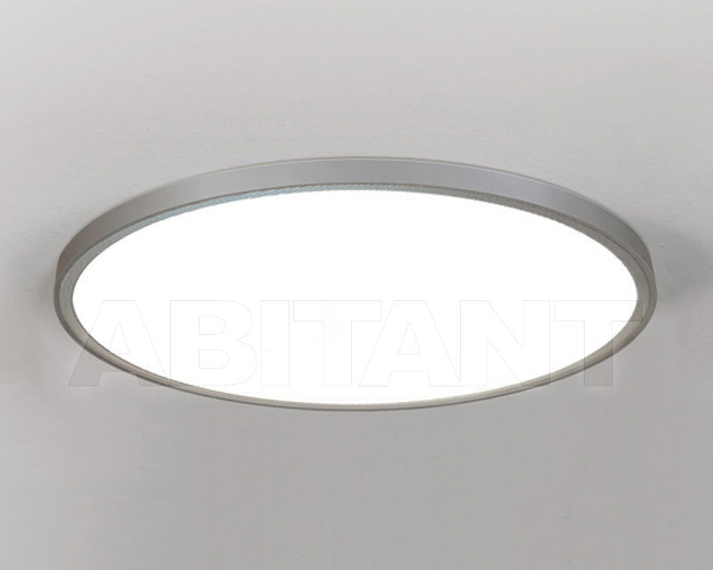 Buy Light BADO Molto Luce G.m.b.H. 2017 445-4161192