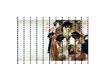 Vinyl wallpaper Nouveau geisha Wall&Decò  WET SYSTEM WDNO1601 Contemporary / Modern