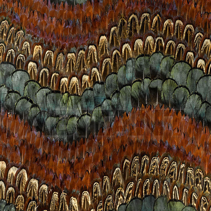 Wallpaper BISCAYNE 5003880 price on request Buy Wallpaper BISCAYNE F. Schumacher & Co. WALLCOVERINGS 5003880