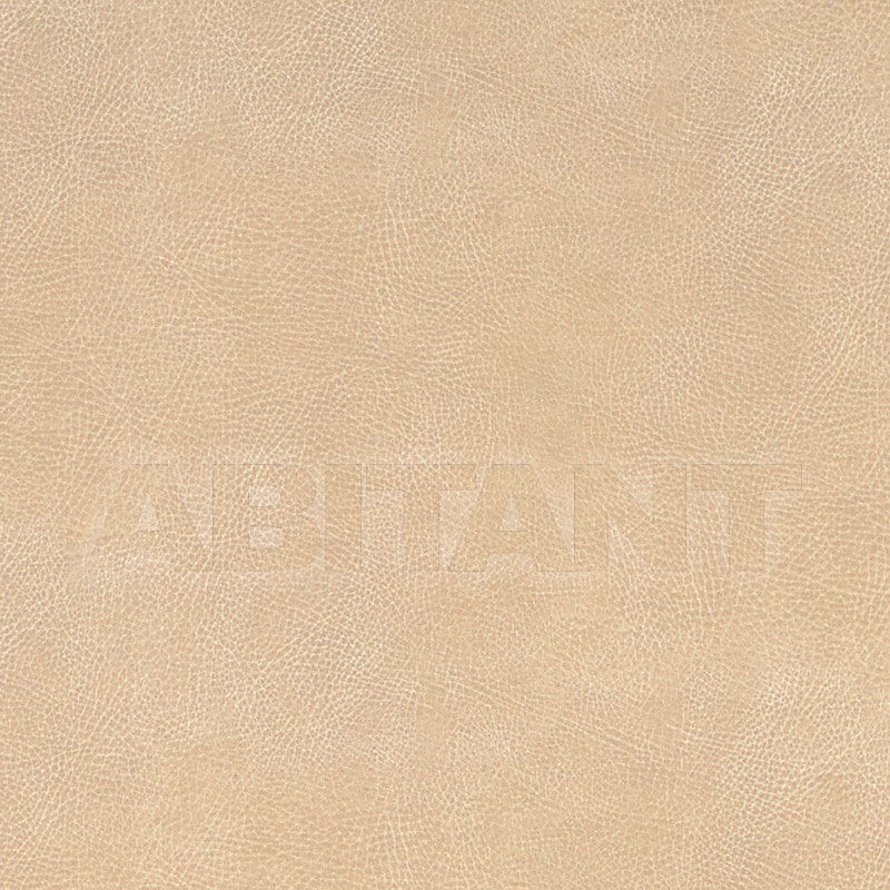 Buy Interior fabric  BRISA SOLEIL DISTRESSED F. Schumacher & Co. FABRICS 396-3024