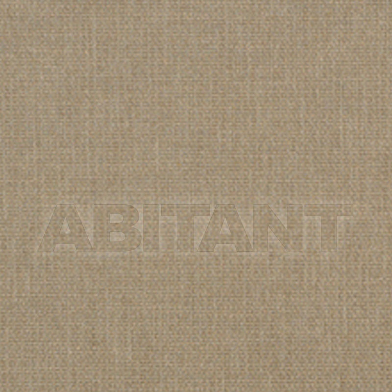 Buy Upholstery  Taylor King FABRICS DELGATTI FLAX