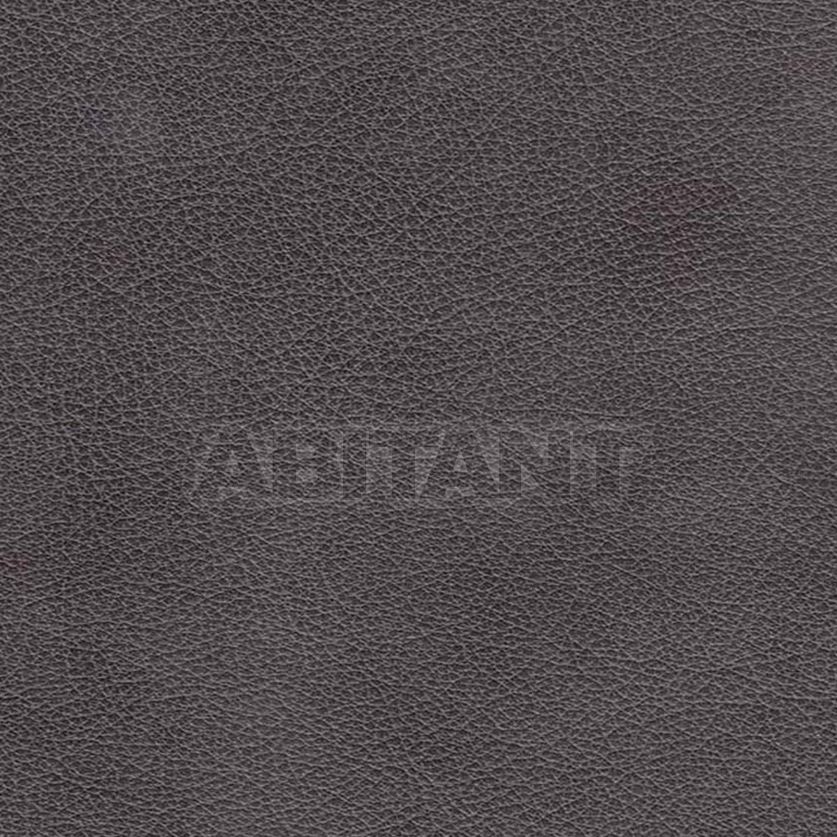 Upholstery HOLLYWOOD BLACK PEARL price on request Buy Upholstery Taylor King LEATHERS HOLLYWOOD BLACK PEARL