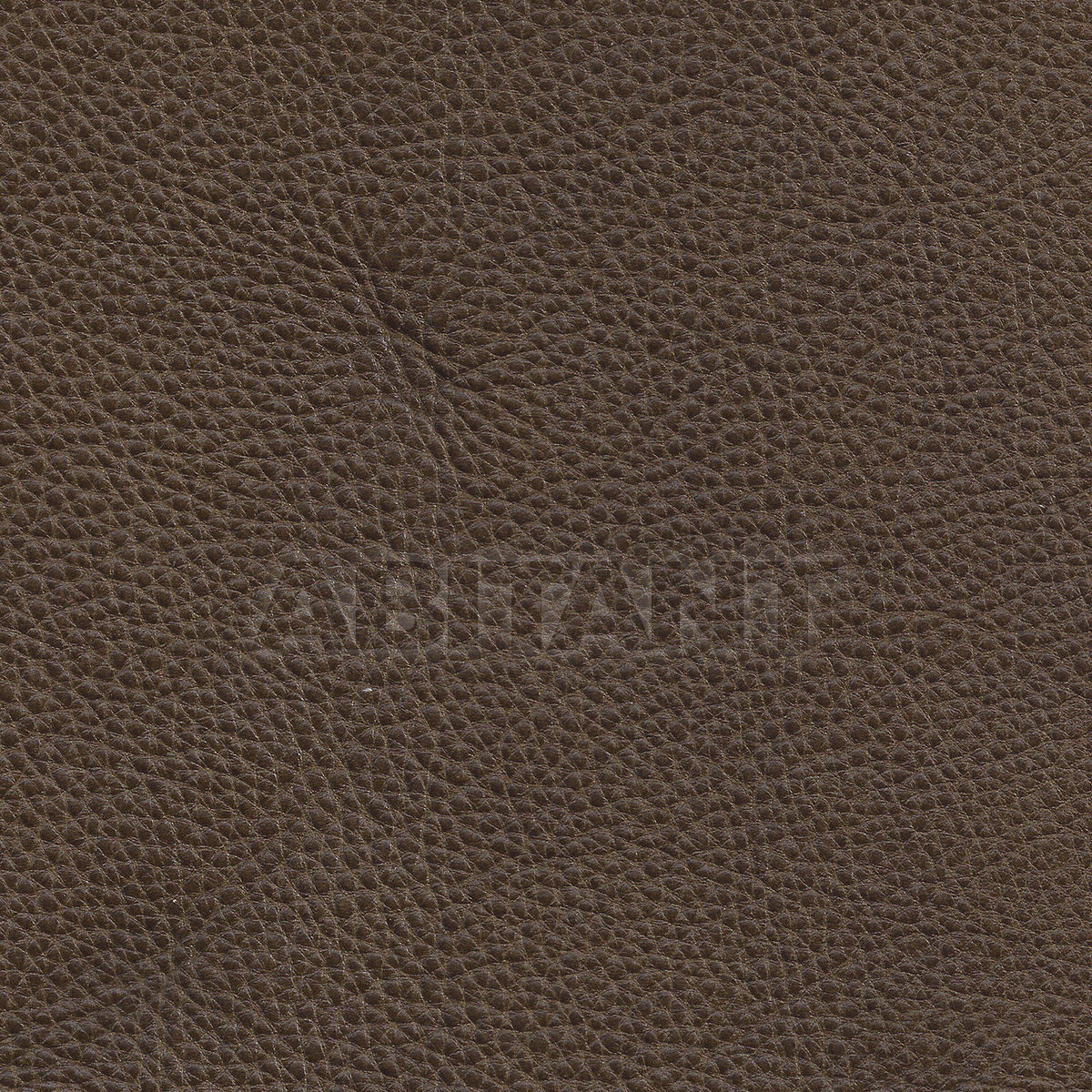 Upholstery KODIAK SEASONED ACORN price on request Buy Upholstery Taylor King LEATHERS KODIAK SEASONED ACORN