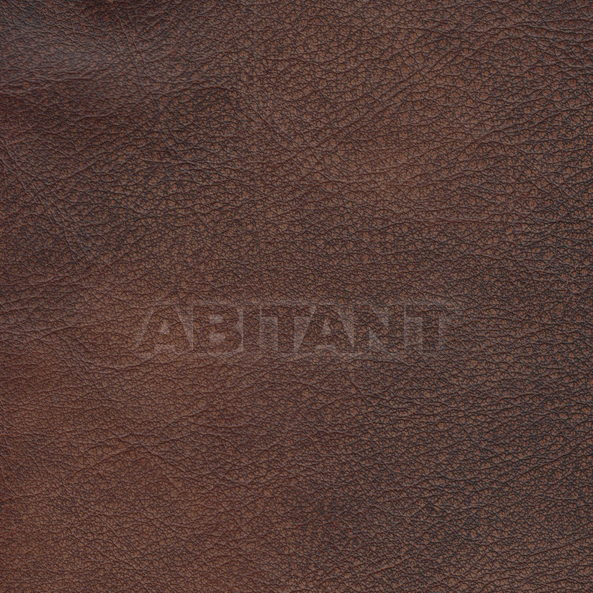 Upholstery MIRAGE BRANDY price on request Buy Upholstery Taylor King LEATHERS MIRAGE BRANDY