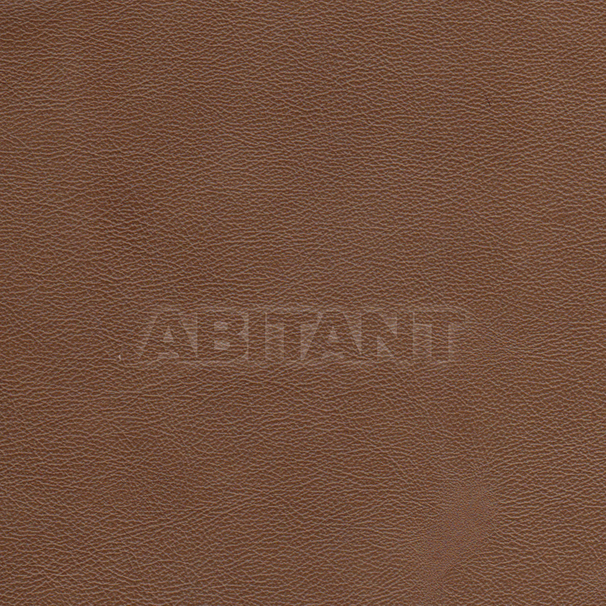 Upholstery SALVADOR ACORN price on request Buy Upholstery Taylor King LEATHERS SALVADOR ACORN