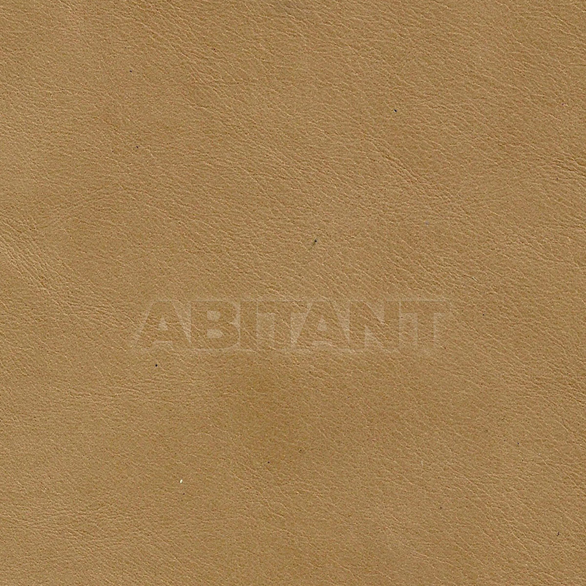 Buy Upholstery  Taylor King LEATHERS SPALLETTA HONEY MILK