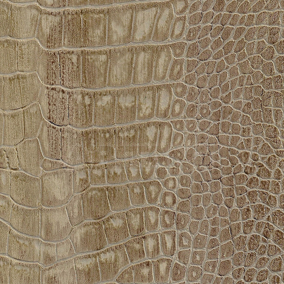 Upholstery WALLY GATOR HARMONIC price on request Buy Upholstery Taylor King LEATHERS WALLY GATOR HARMONIC