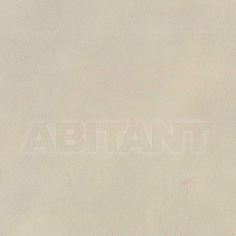 Upholstery F1297-TAUP price on request Buy Upholstery Chaddock Fabrics, Leathers & Trims F1297-TAUP