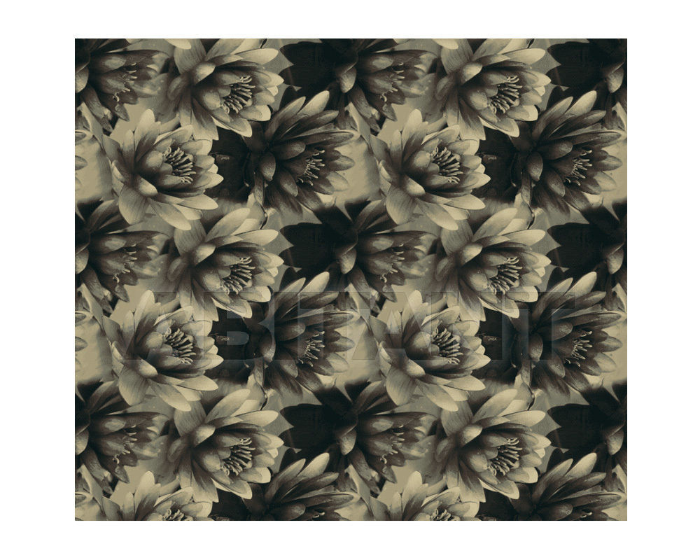 Buy Carpeting Ege  Wall-to-wall carpets RF52752482