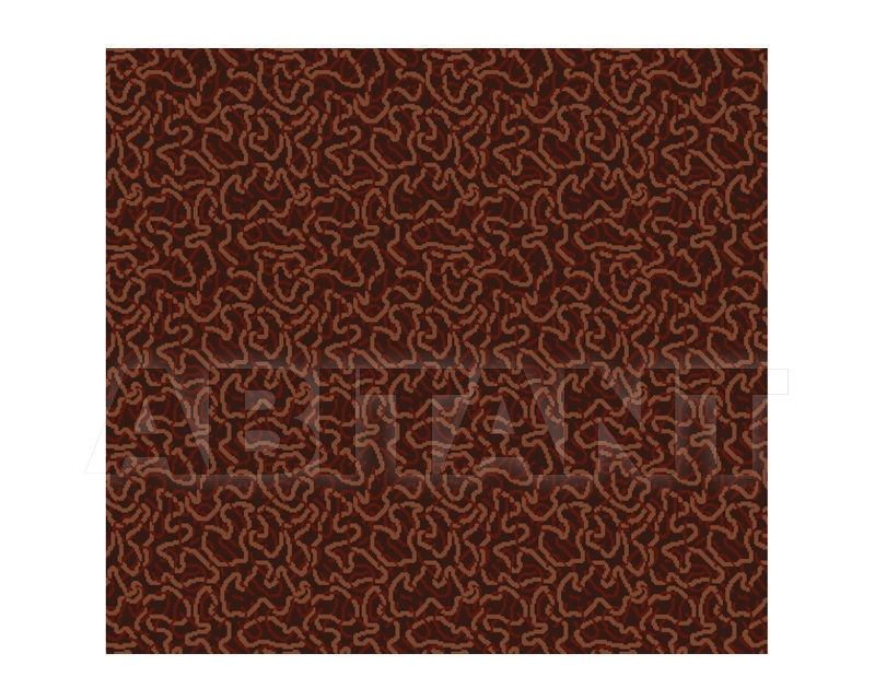 Buy Carpeting Ege  Wall-to-wall carpets RF5295449