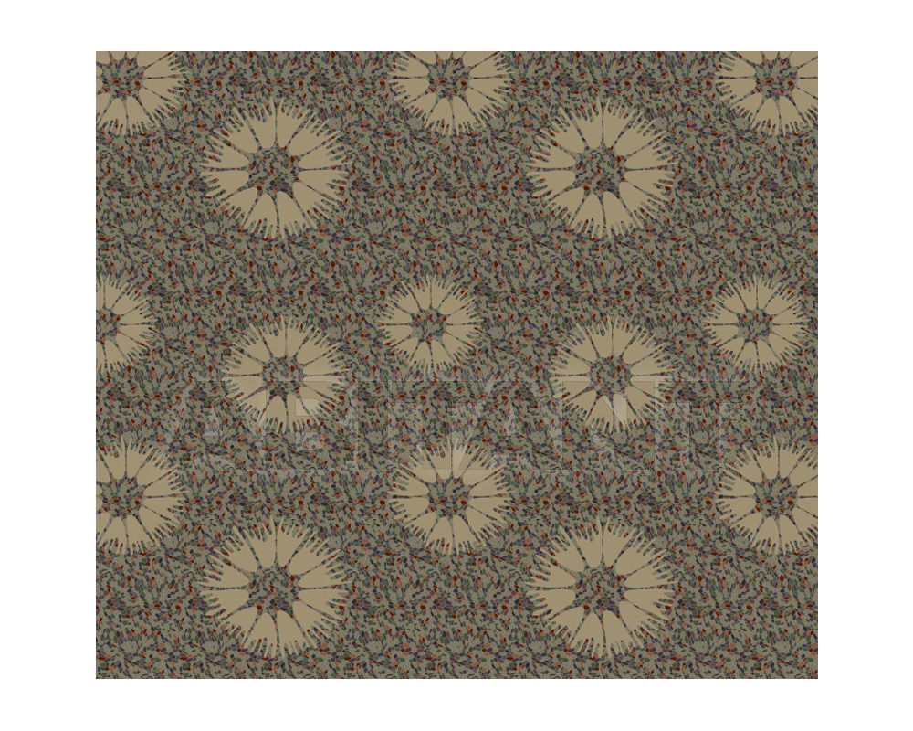 Buy Carpeting Ege  Wall-to-wall carpets RF52758712